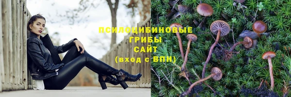 прущие крисы Верхний Тагил