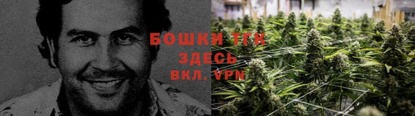 прущие крисы Верхний Тагил